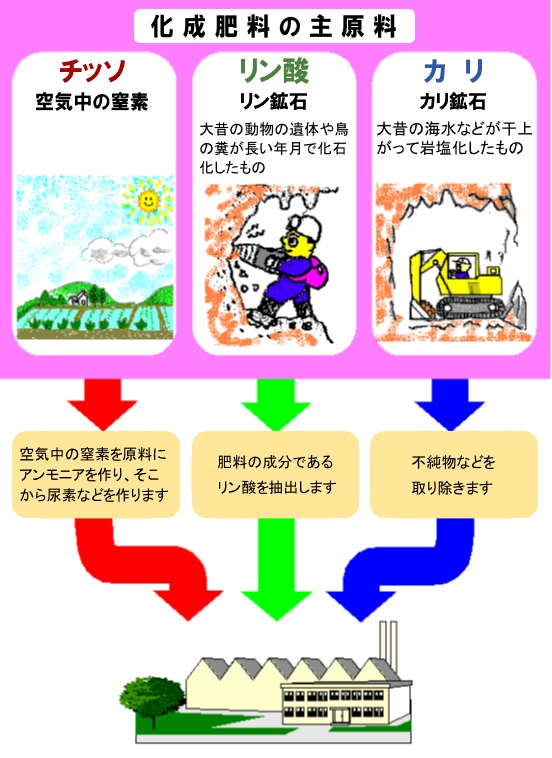 日本肥料アンモニア協会